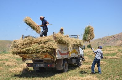 Yüksekova'daki Besicilerin Kış Hazırlığı