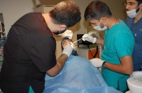 İMPLANT - Bitlis ADSM'de İmplant Tedavisine Başlandı