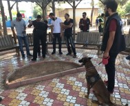 Mardin'de 'Huzurlu Parklar' Uygulamasından Başarıyla Geçti