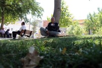 AKSAKAL - Yaşlılar Camilerde, Çocuklar Süs Havuzlarında Serinliyor