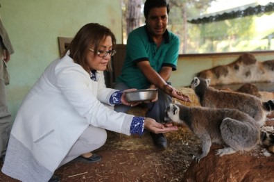 Gaziantep Hayvanat Bahçesi, Doğurganlık Oranıyla Avrupa'da Birincisi