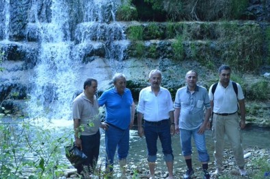 Zonguldak Ormanlarının Gizli Hazineleri Gün Yüzüne Çıkarılıyor