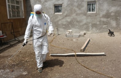 Ağrı'da Kuş Gribi Şüphesi