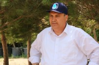 ASIRLIK ÇINAR - Başkan Çerçi'den Sökülen Ağaçlarla İlgili Açıklama