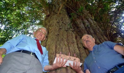 Dünyanın En Yaşlı 5 Ağacından Birine Pastalı Kutlama