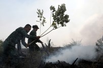ACEH - Endonezya'da Orman Yangını