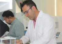 KARAKÖY - Karaköy Açıklaması 'Hibrit, Tohumların Islah Edilmiş Şeklidir'