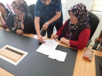 KARAOĞLANLı - Manisa Büyükşehir Belediyesi Sera Kurup Fidan Üretecek