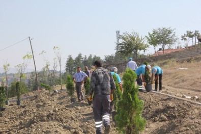 Sungurlu Belediyesi 920 Fidanı Toprakla Buluşturdu