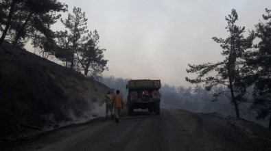 Orman Yangını Turgutlu Sınırına Ulaştı