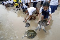 TAYLAND KRALı - Tayland Kralı'nın Doğum Günü İçin Bin 66 Kaplumbağa Denize Bırakıldı