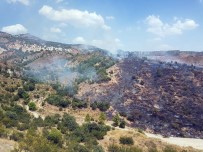 Ankara'da Orman Yangını