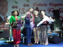 KAYACıK - Aydın'da Kiraz Festivali Heyecanı Başladı