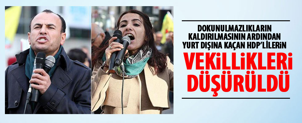 HDP'li isminlerin vekilliği düşürüldü