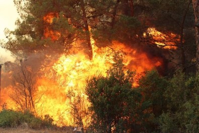 İzmir'deki Yangına Havadan Müdahale Başladı