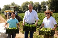 Karacabey'de Çiftçi Biberden Umutlu