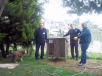 OSMANLı İMPARATORLUĞU - Ortahisar'dan Sokak Hayvanlarına Barınak