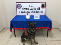 Sivas'ta Uyuşturucu Operasyonu