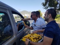MUZ FESTIVALI - Anamur'da Sürücülere Muz Dağıtıldı