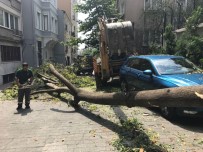 AHMET MISBAH DEMIRCAN - Başkan Demircan Açıklaması 'Büyük Afet Yaşadık Ama Çabuk Atlattık'