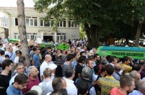 YILIN ANNESİ - İznik Gölü'ndeki Faciadan Dram Çıktı