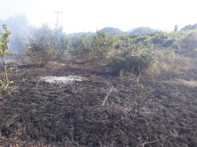 Kastamonu'da Çıkan Anız Yangını, Ormana Sıçramadan Söndürüldü