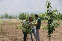 SALIH KESKIN - 'Mutfaktan Bahçeye' Projesinin Uygulanması Devam Ediliyor