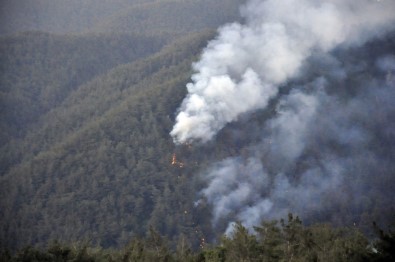 Amanos Dağları'ndaki yangın sürüyor!