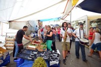 KÜÇÜKYALı - Pazarda Konser