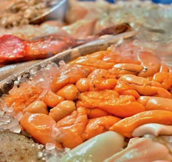 Kefal yumurtaları 500 liradan satılıyor!