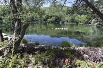 AYDINLATMA DİREĞİ - Büyükşehir, Karagöl Milli Parkı'nı Yeniliyor