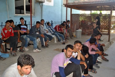 Hatay'da 56 Kaçak Yakalandı