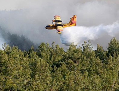 İzmir'deki orman yangını kısmen kontrol altına alındı