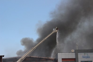 Katı Yakıt Üretim Fabrikasında Çıkan Yangında Zarar Büyük