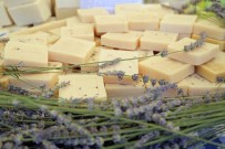 SALYANGOZ - Mis Kokulu Şenlik Coşkusu