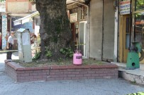 KALEDERE - Ünye'de Şüpheli Tüp Paniği