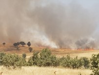 Dargeçit'te Arazi Yangını
