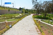 KİMLİK KARTI - Tıbbi Aromatik Bitkiler Bahçesi Ziyaretçilerini Bekliyor