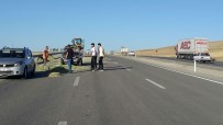 MEHMET İLHAN - Aşkale'de İki Trafik Kazası, 1 Yaralı