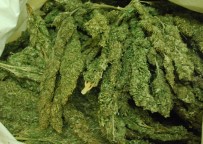 Kocaeli'de Uyuşturucu Operasyonu