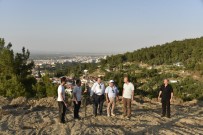 PİKNİK ALANLARI - Mesir Tabiat Parkı Manisa'nın Yeni Cazibe Merkezi Olacak