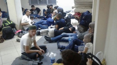 Milas'ta 58 Sığınmacı Yakalandı