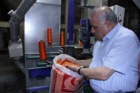MAHMUT ARSLAN - Türkiye'nin Mercimek Üretiminde Yüzde 20 Artış Bekleniyor