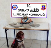Sakarya'da 2 Kilo Bonzai Ele Geçirildi