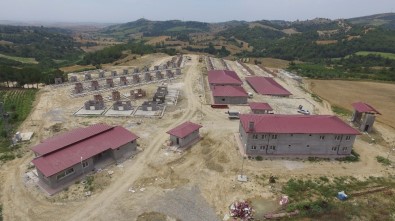 Adana'ya Modern Hayvan Barınağı