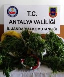 Alanya'da Uyuşturucu Operasyonu