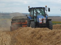TOPRAK MAHSULLERI OFISI - Buğday Hasadı Tepkilerle Başladı
