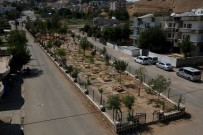 BOTAŞ - Cizre'de Botaş Parkı Hizmete Açıldı