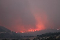 Çalışmalar sürüyor ancak, yangını devam ediyor!