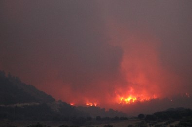 Denizli'deki orman yangını devam ediyor!